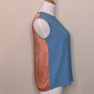 Diane Von Furstenburg sheath top